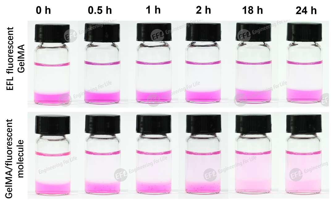 1747805585298568.png 圖片4.png