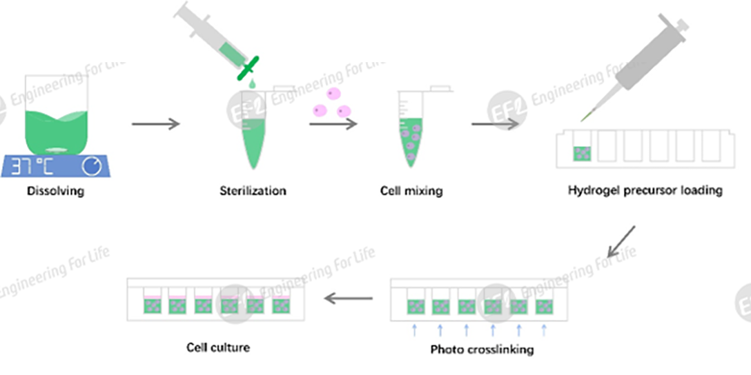 1747806644194191.png 圖片2.png