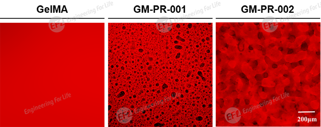 1747806736428940.png 圖片3.png