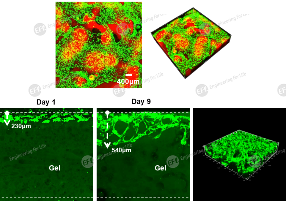 1747806883801637.png 1747806883801637.png