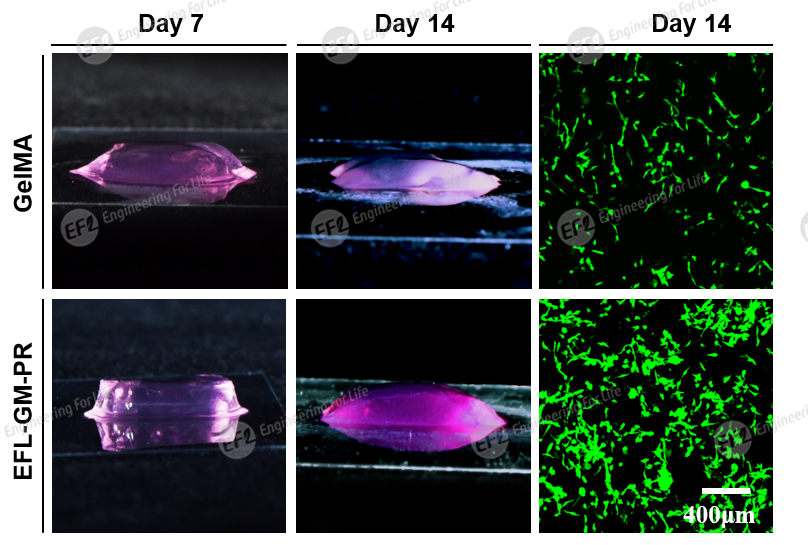 1747806974148513.png 1747806974148513.png