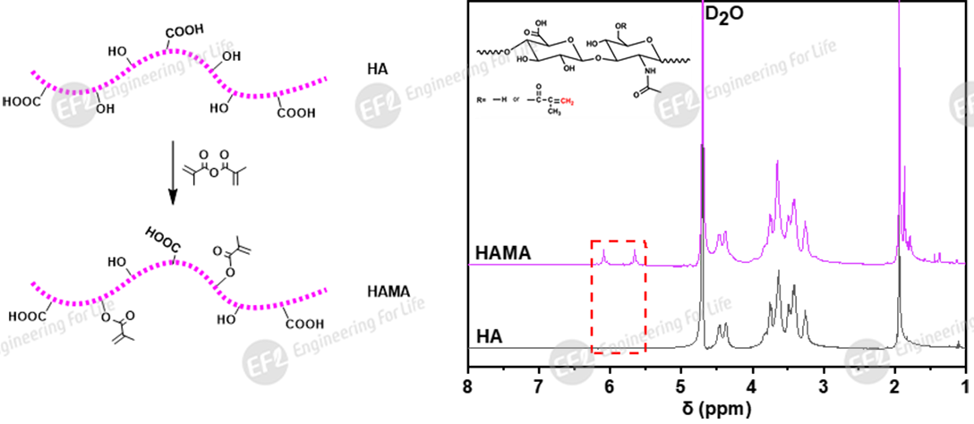 1747809032387854.png 圖片2.png
