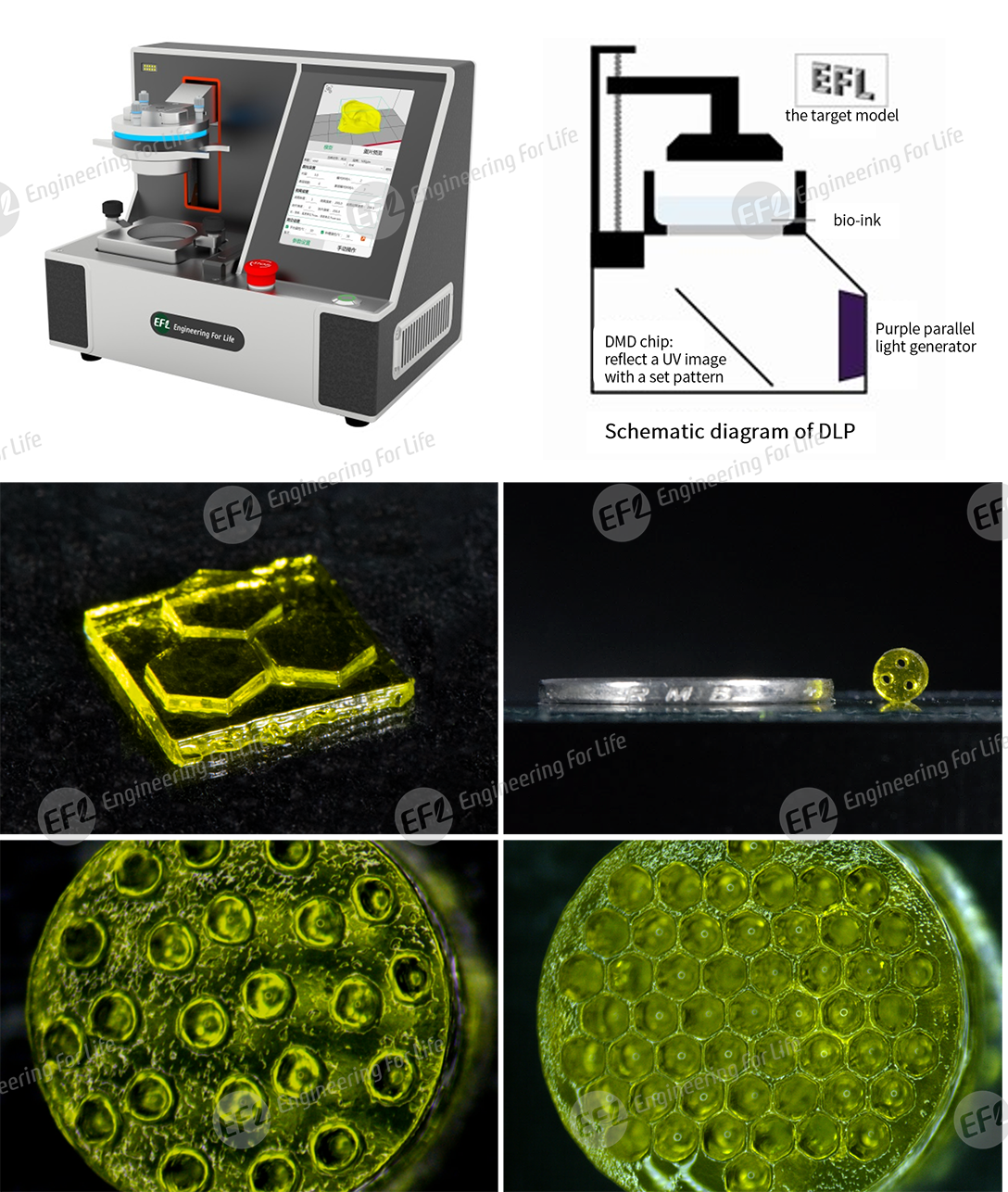 1747809427645745.png 圖片7.png