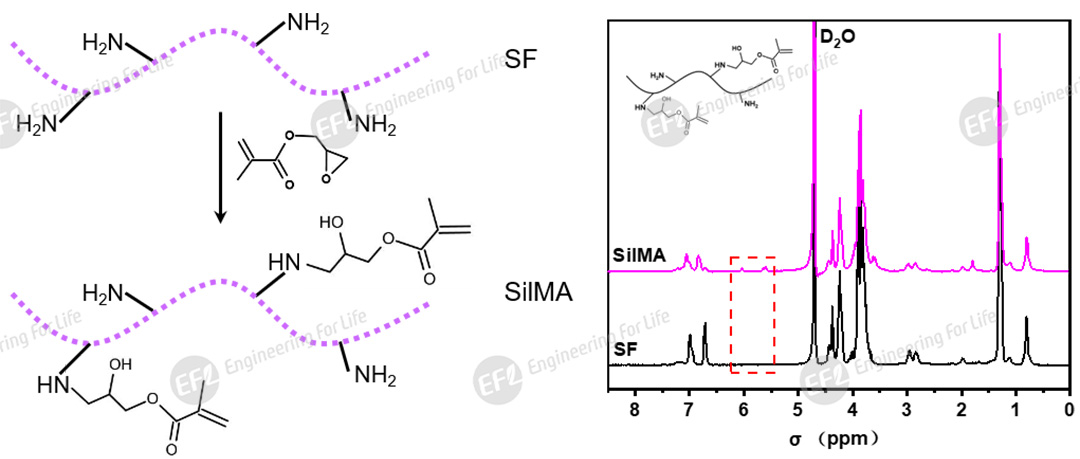 1748419980559673.jpg 圖片2.jpg