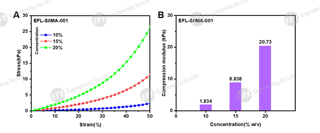 1748420091703099.jpg 圖片4.jpg