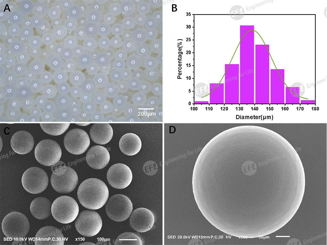 1748420791187580.jpg 圖片2.jpg