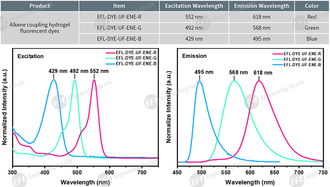 1750146196460923.jpg 圖片2.jpg