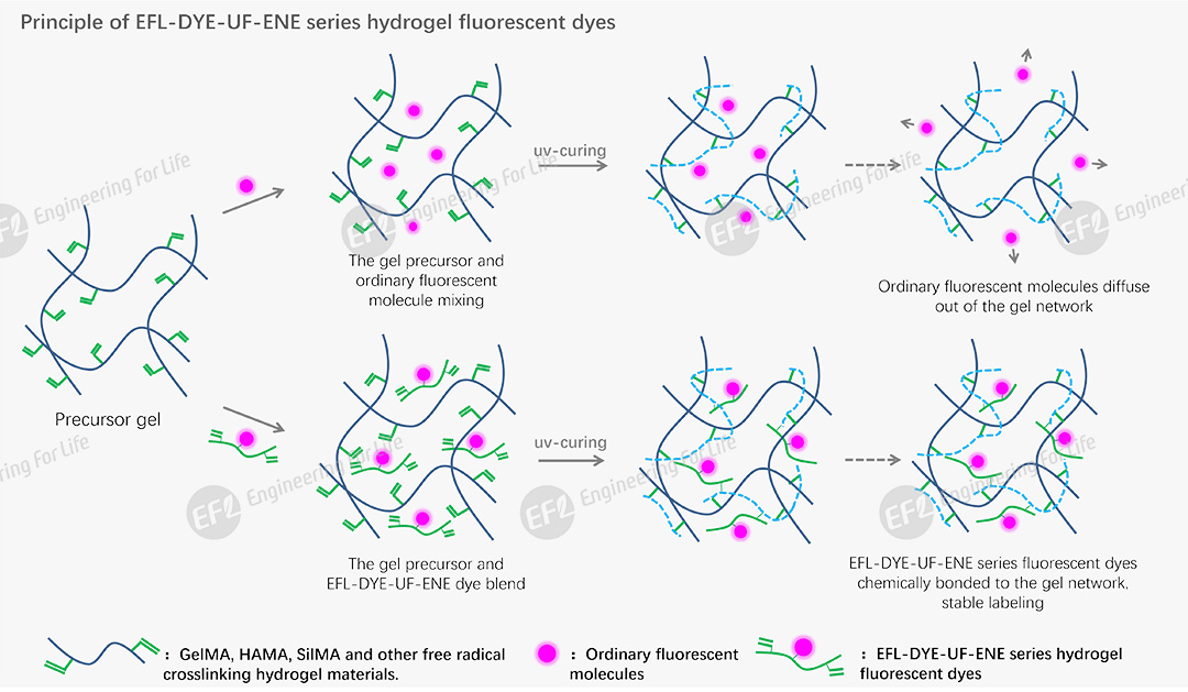 1750146273105020.jpg 圖片3.jpg