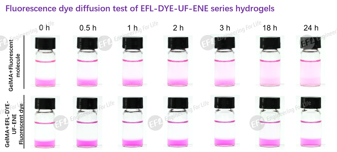 1750146334417949.jpg 圖片4.jpg