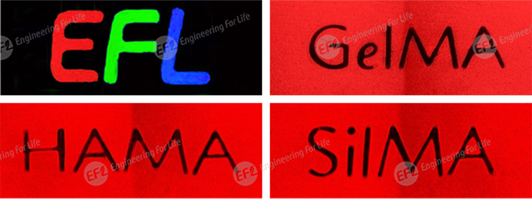 1750146469328441.jpg 圖片5.jpg