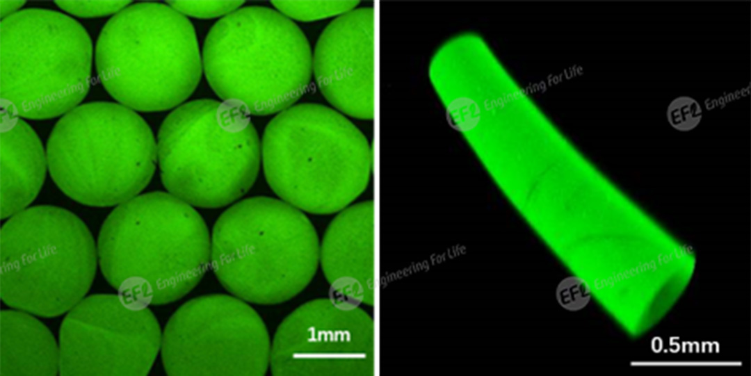 1750148771851942.jpg 圖片2 1080.jpg