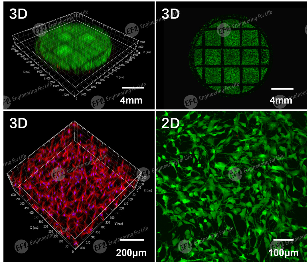 1750407458984728.jpg 圖片2.jpg