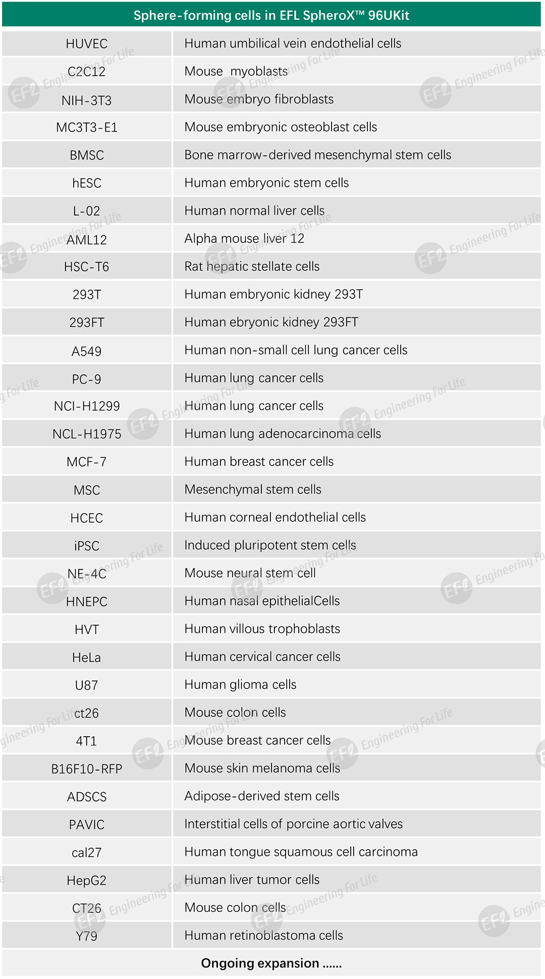 1751012082414941.jpg 圖片6.jpg