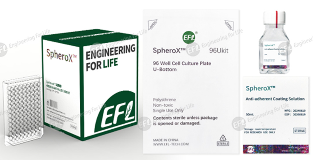 1751260140106711.jpg 圖片1.jpg