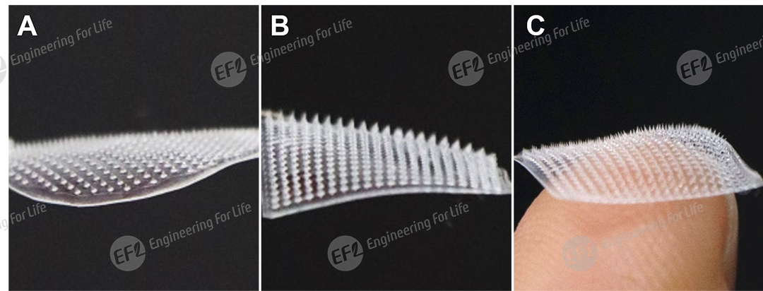 1751446994396811.png 圖片9.png