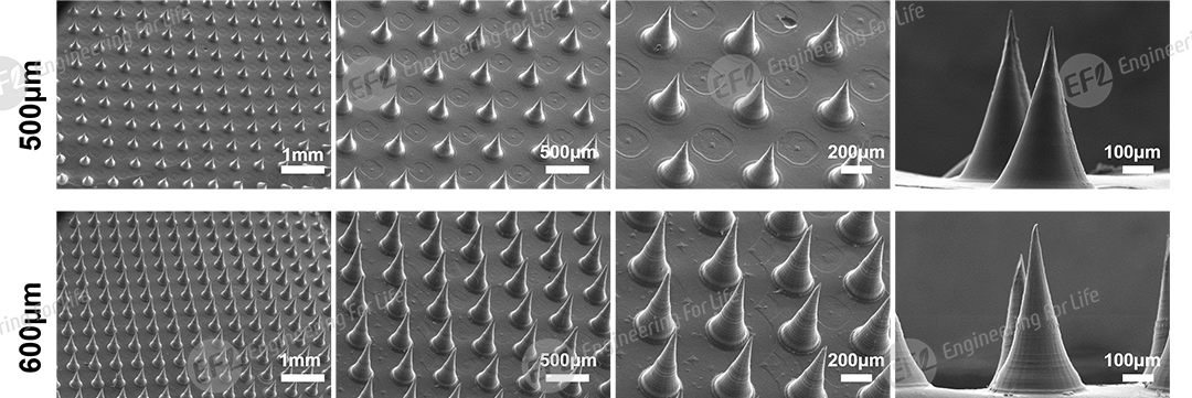 1751447022894475.png 圖片10.png