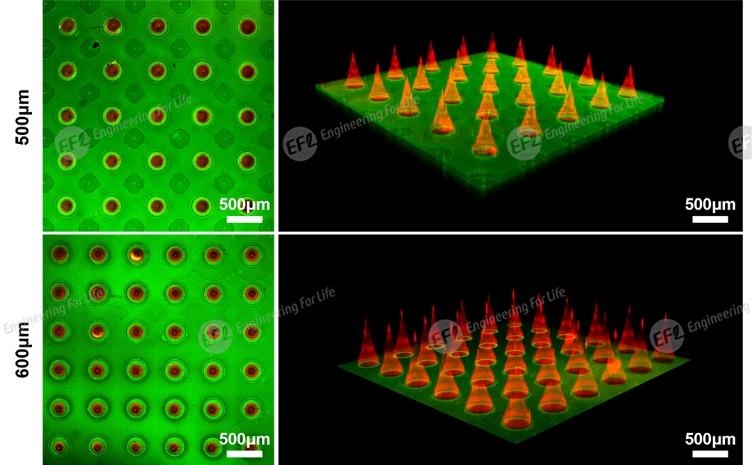 1751447048782229.png 圖片11.png