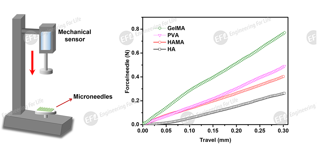 1751447074871116.png 圖片12.png